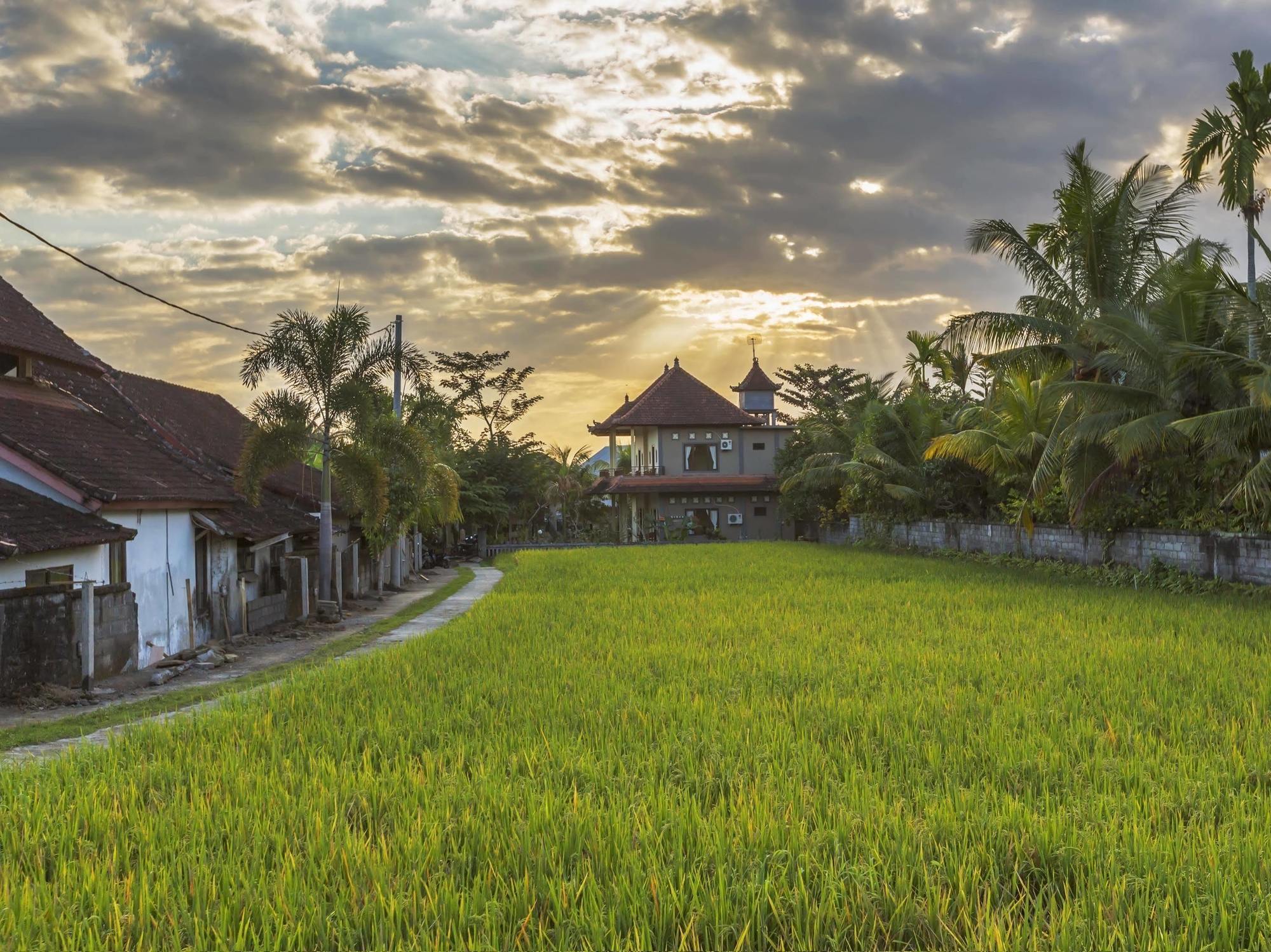 Abipraya Ubud Екстериор снимка